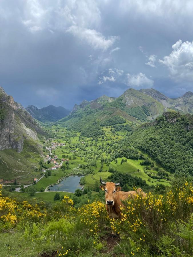 Apartamentos Rurales La Casina Del Fontan Valle de Lago Eksteriør billede